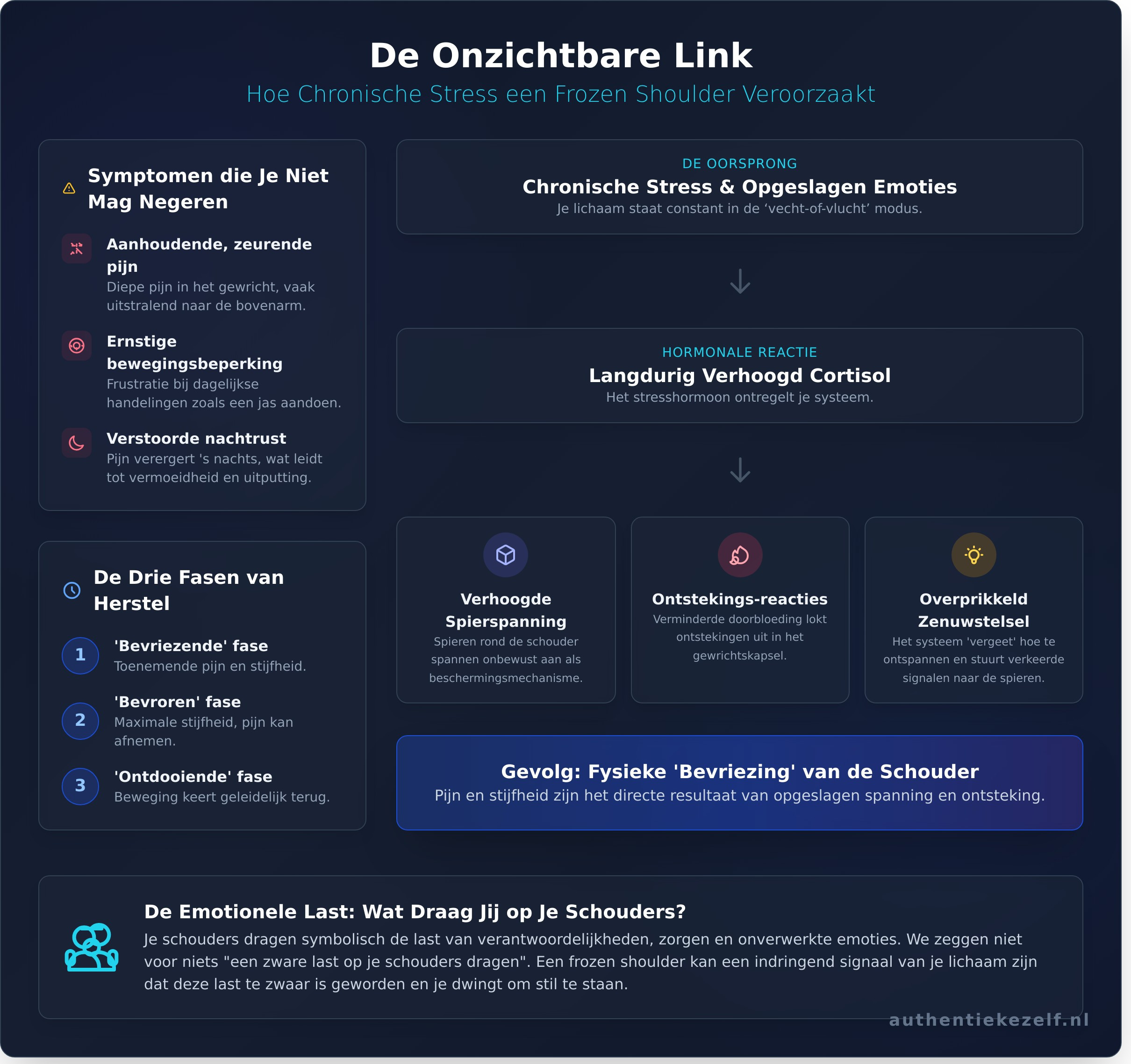 Frozen Shoulder en Stress: De Diepere Oorzaak van Jouw Pijn - Infographic