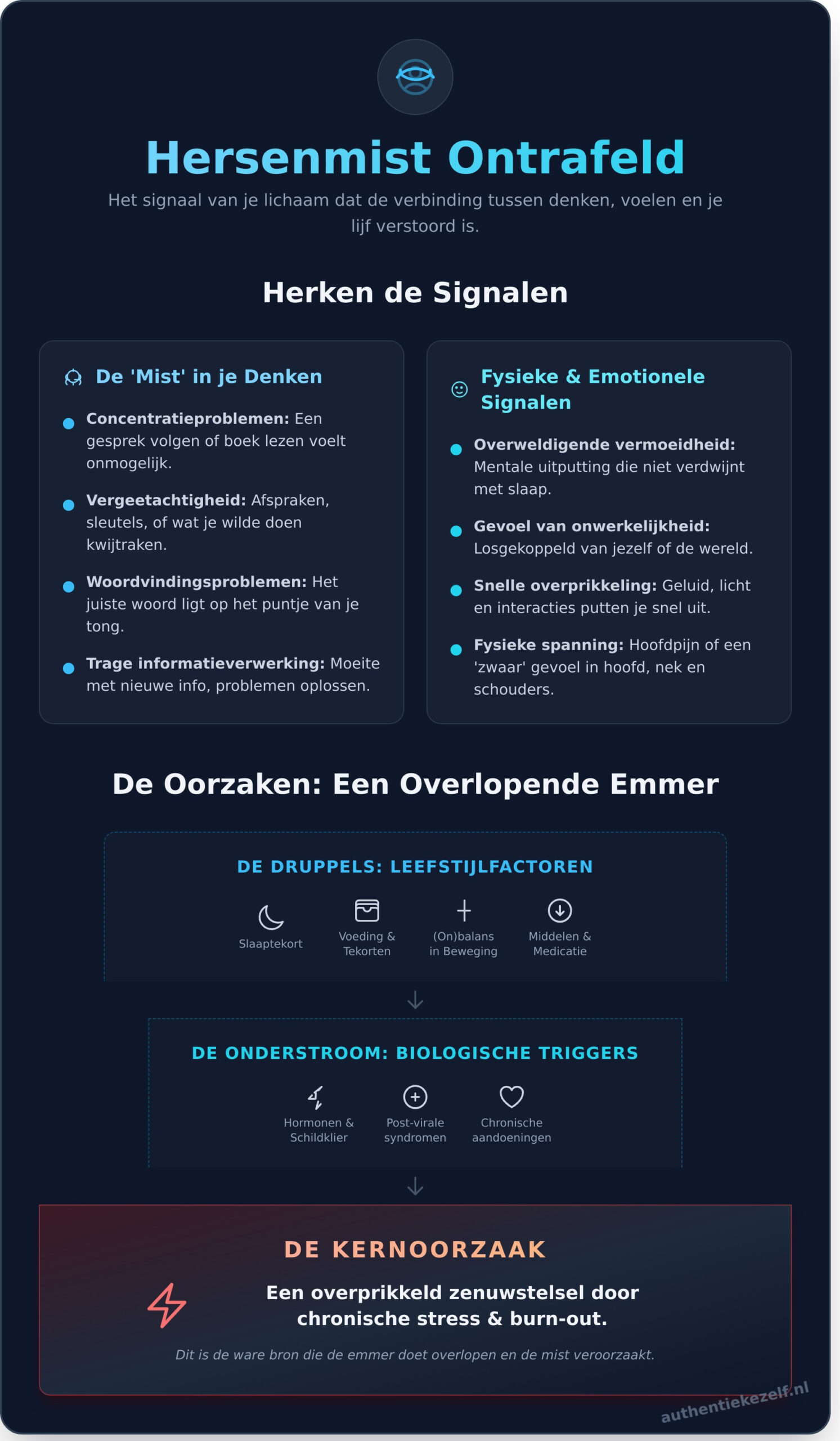 Hersenmist (Brain Fog): Wat het is en hoe je de mist in je hoofd écht oplost - Infographic